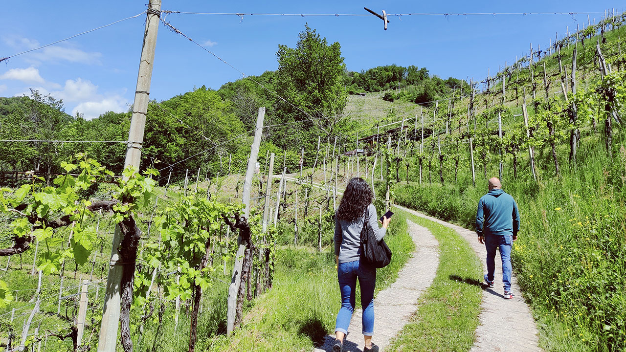 cantina-le-volpere-02