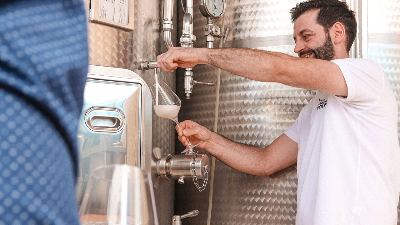 cantina-le-volpere-03