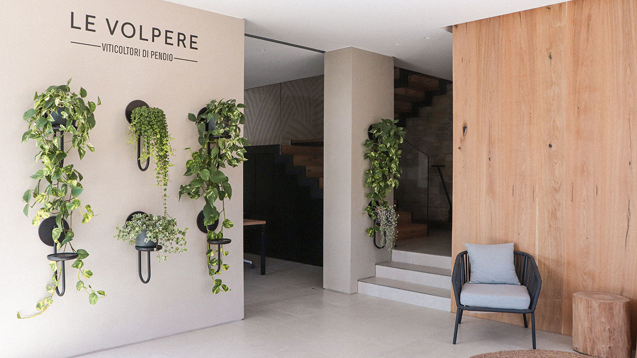 cantina-le-volpere-04